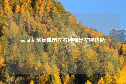 sao utils(鼠标单击左右键都是左键功能)