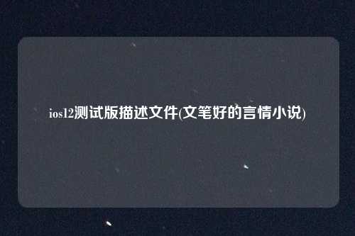 ios12测试版描述文件(文笔好的言情小说)