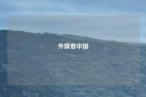 外媒看中国