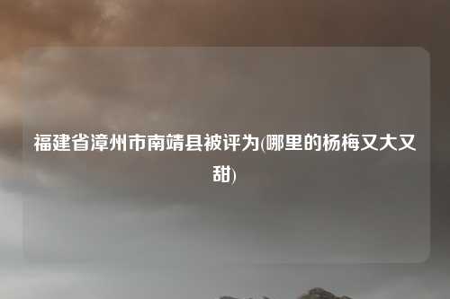 福建省漳州市南靖县被评为(哪里的杨梅又大又甜)