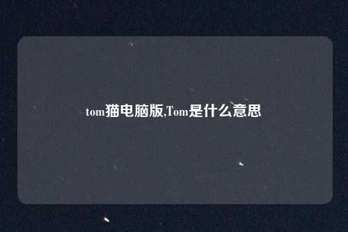 tom猫电脑版,Tom是什么意思