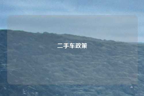 二手车政策