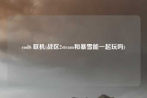 cod6 联机(战区2steam和暴雪能一起玩吗)