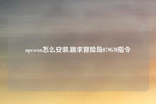 npcscan怎么安装,跪求冒险岛079GM指令