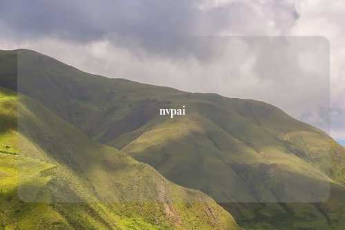 nvpai