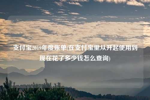 支付宝2019年度账单(在支付宝里从开起使用到现在花了多少钱怎么查询)