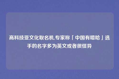 高科技亚文化取名机,专家称「中国有嘻哈」选手的名字多为英文或者很怪异