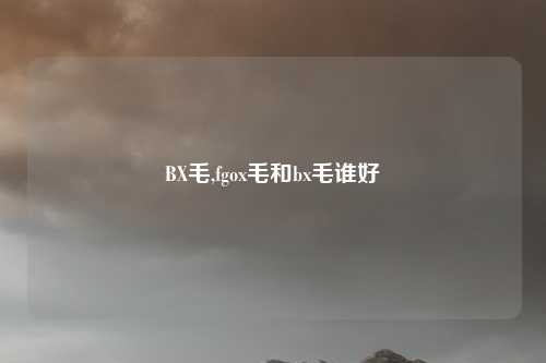 BX毛,fgox毛和bx毛谁好
