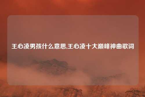 王心凌男孩什么意思,王心凌十大巅峰神曲歌词