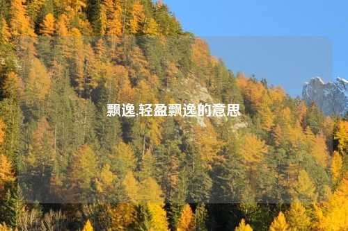 飘逸,轻盈飘逸的意思