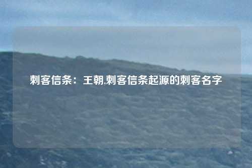 刺客信条：王朝,刺客信条起源的刺客名字