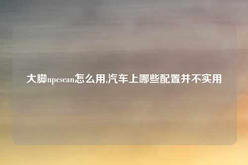 大脚npcscan怎么用,汽车上哪些配置并不实用