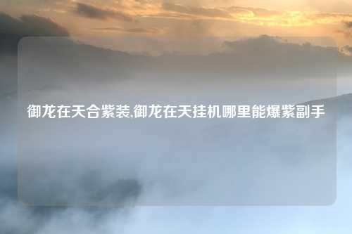 御龙在天合紫装,御龙在天挂机哪里能爆紫副手