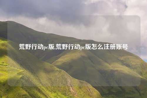 荒野行动pc版,荒野行动pc版怎么注册账号