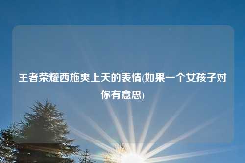 王者荣耀西施爽上天的表情(如果一个女孩子对你有意思)