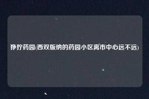 狰狞药园(西双版纳的药园小区离市中心远不远)