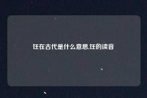 饪在古代是什么意思,饪的读音