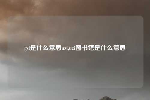 gsl是什么意思uzi,uzi图书馆是什么意思