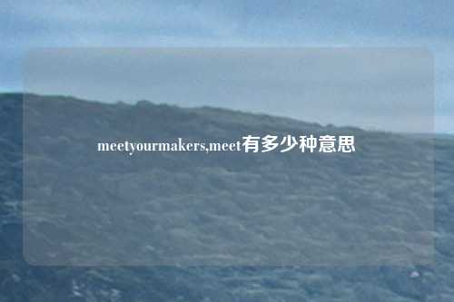 meetyourmakers,meet有多少种意思