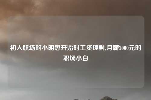 初入职场的小明想开始对工资理财,月薪3000元的职场小白