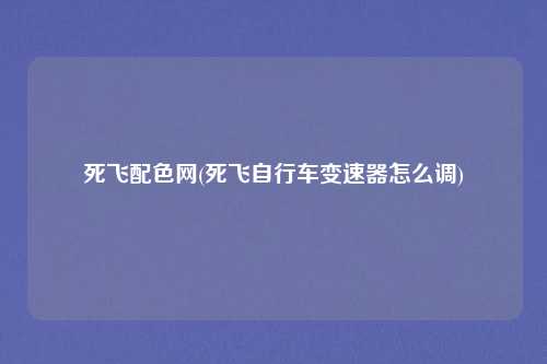 死飞配色网(死飞自行车变速器怎么调)