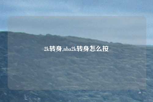 2k转身,nba2k转身怎么按