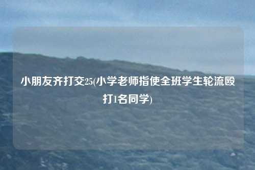 小朋友齐打交25(小学老师指使全班学生轮流殴打1名同学)