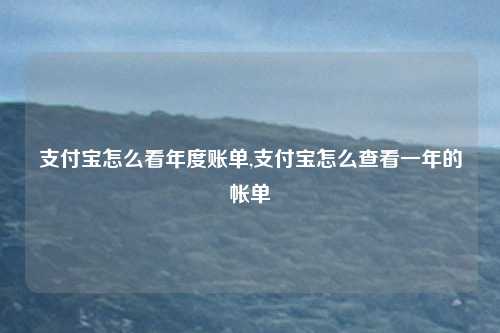 支付宝怎么看年度账单,支付宝怎么查看一年的帐单