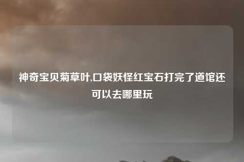 神奇宝贝菊草叶,口袋妖怪红宝石打完了道馆还可以去哪里玩