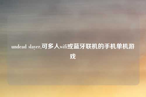 undead slayer,可多人wifi或蓝牙联机的手机单机游戏