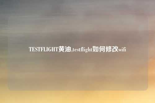 TESTFLIGHT黄油,testflight如何修改wifi
