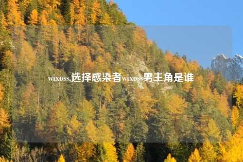wixoss,选择感染者wixoss男主角是谁