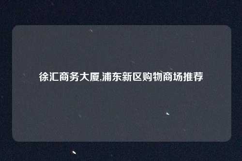 徐汇商务大厦,浦东新区购物商场推荐