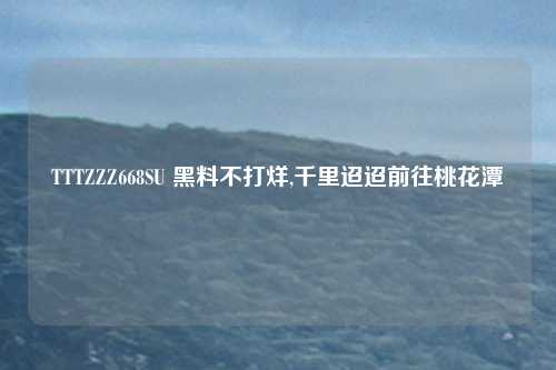 TTTZZZ668SU 黑料不打烊,千里迢迢前往桃花潭