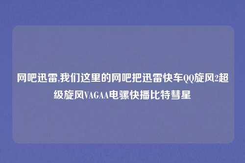 网吧迅雷,我们这里的网吧把迅雷快车QQ旋风2超级旋风VAGAA电骡快播比特彗星