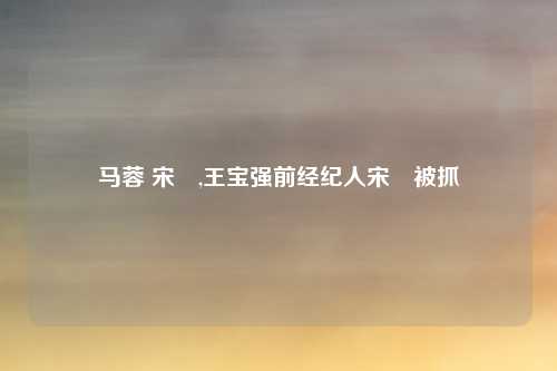 马蓉 宋喆,王宝强前经纪人宋喆被抓