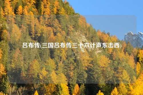 吕布传(三国吕布传三十六计声东击西)