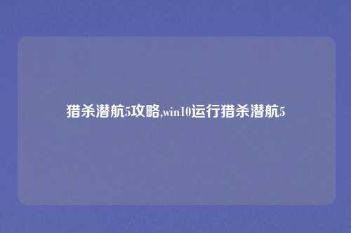 猎杀潜航5攻略,win10运行猎杀潜航5