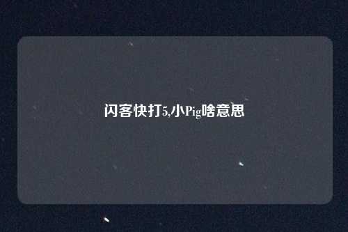 闪客快打5,小Pig啥意思