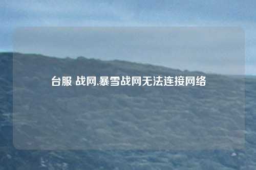 台服 战网,暴雪战网无法连接网络