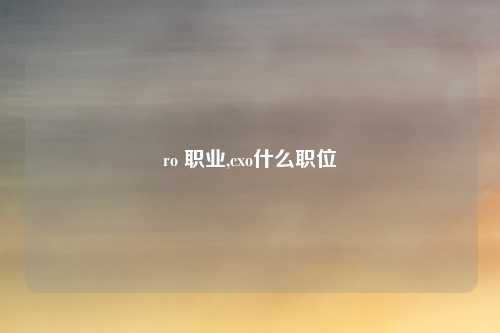 ro 职业,cxo什么职位