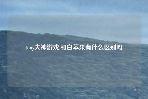 tony大神游戏,和白苹果有什么区别吗