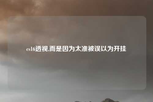 cs16透视,而是因为太准被误以为开挂