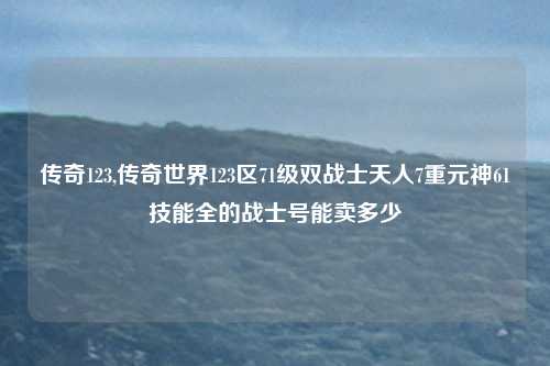 传奇123,传奇世界123区71级双战士天人7重元神61技能全的战士号能卖多少