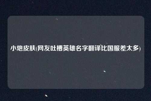 小炮皮肤(网友吐槽英雄名字翻译比国服差太多)