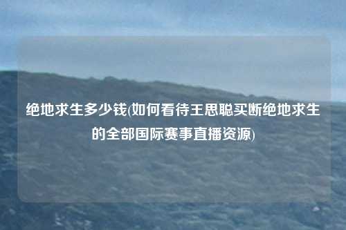 绝地求生多少钱(如何看待王思聪买断绝地求生的全部国际赛事直播资源)