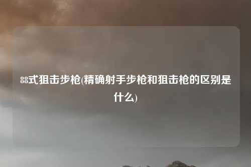 88式狙击步枪(精确射手步枪和狙击枪的区别是什么)