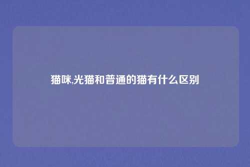 猫咪,光猫和普通的猫有什么区别