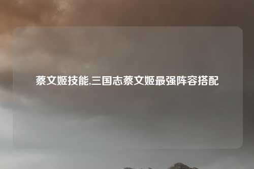 蔡文姬技能,三国志蔡文姬最强阵容搭配