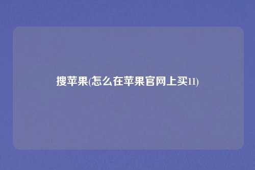 搜苹果(怎么在苹果官网上买11)